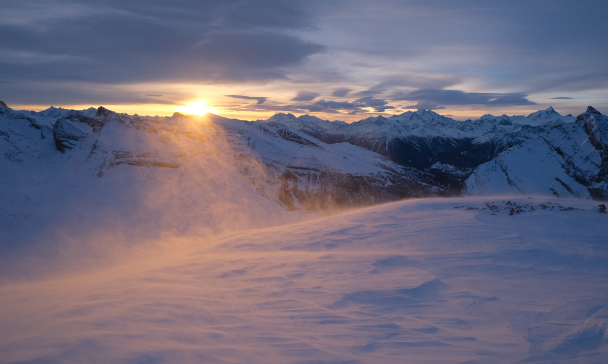 The IAFL Yearbook 2025